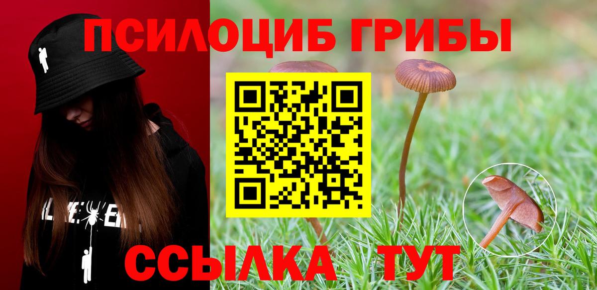 Псилоцибиновые грибы Psilocybine cubensis Гагарин