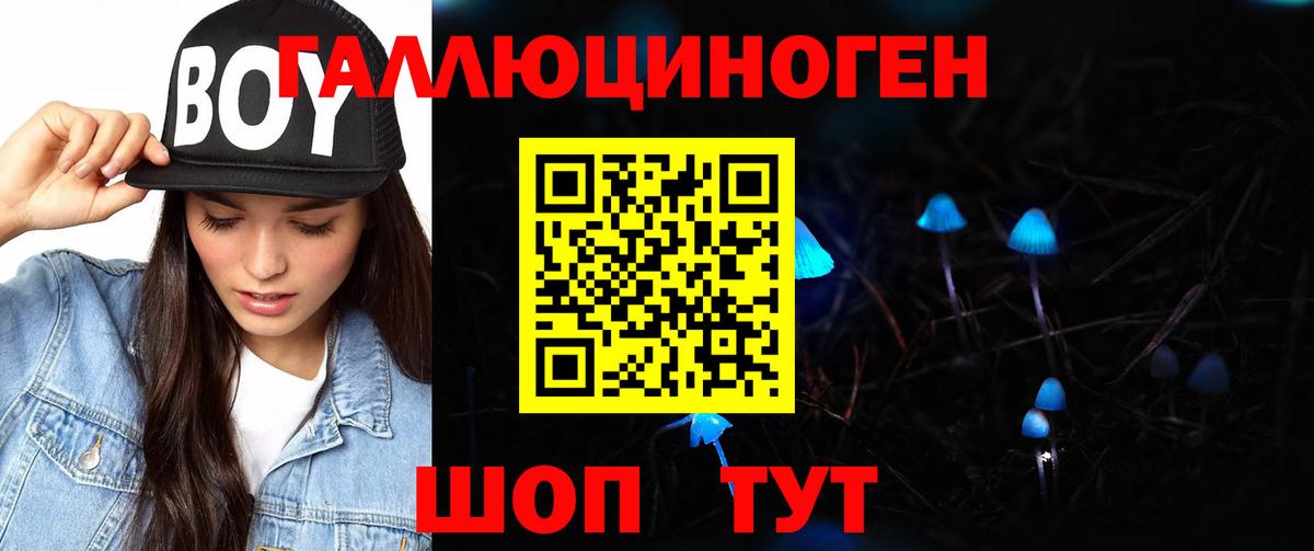 Гагарин  Галлюциногенные грибы мицелий  Галлюциногенные грибы GOLDEN TEACHER  Вход с VPN 